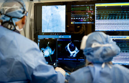 Medical professionals reviewing an image of a heart