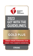 2023 American Heart Association Gold Plus Award Stroke 