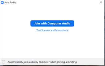 Virtual visits join with computer audio screenshot 2
