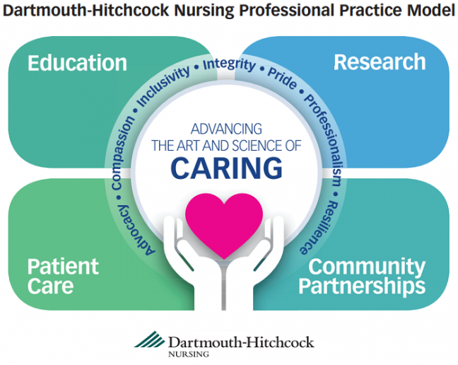 A graphic showing the elements of the D-H Nursing Professional Practice Model