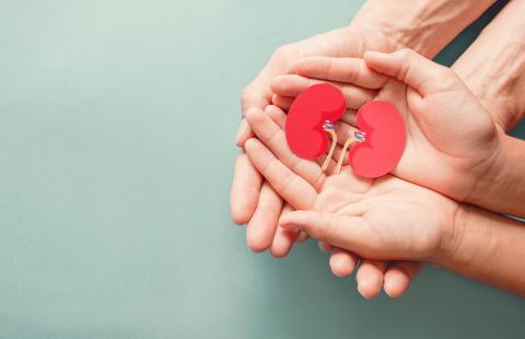 Read the article 'Five myths about living kidney donation debunked'
