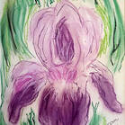 Dawn Griffis, pastels