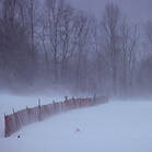 Douglas Frantz, photography
