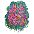 Brain artwork by Emma Lowry