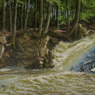 Landscape by Tim Jennings