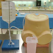 Lumbar puncture trainer