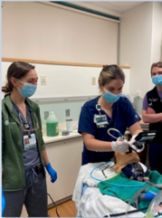 Postgraduate students in intubation class room