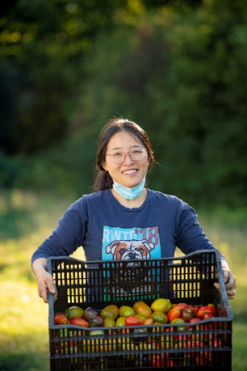 Farmacy garden volunteer with tomato harvest