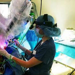 An APP Fellow using a machine in a clinical settings