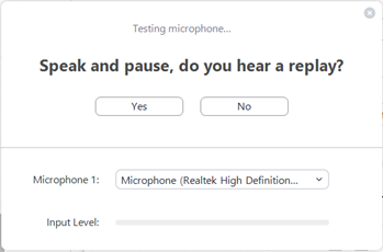 Virtual visit confirm voice play back screenshot