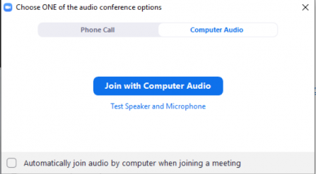 Join with Computer Audio option