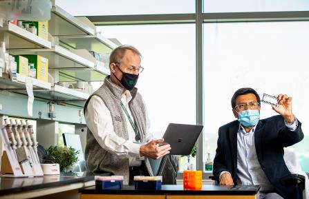 Dartmouth and Dartmouth-Hitchcock's Norris Cotton Cancer Center (NCCC) Director Steven D. Leach, MD, and Surajit Dhara, PhD, Senior Research Scientist, working together in the Leach laboratory to bring change to the treatment of pancreatic cancer.