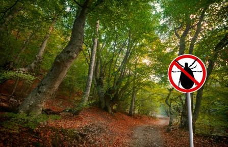 No ticks sign approaching wooded area