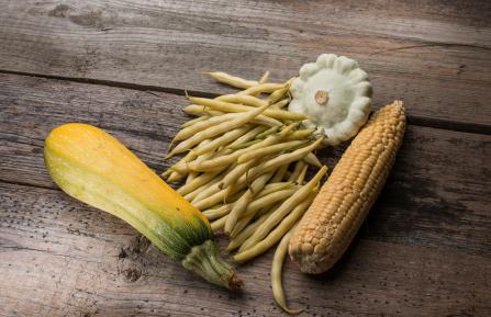 photo of corn, beans and squash