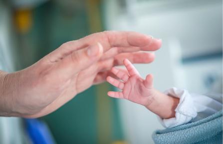 Photo of baby hand holding an adult hand.