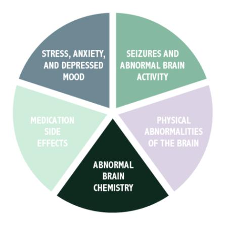 A pie chart of the reasons why people with epilepsy have memory problems