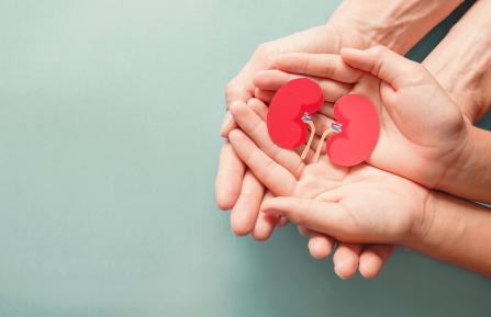 picture of hands holding kidney-shaped papers