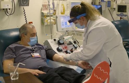 Blood plasma collection