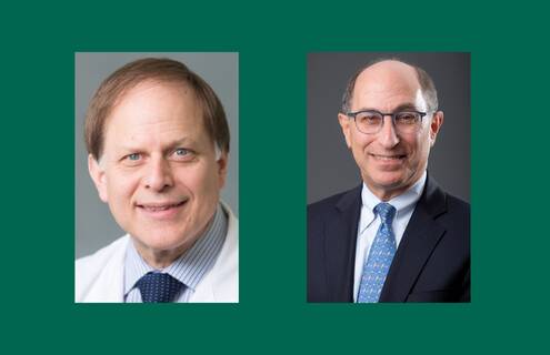 Richard Rothstein, MD, and Lee Kaplan, MD, PhD