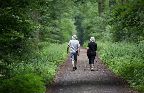 Two people walking in the woods on a summer's day