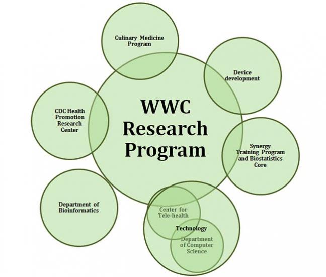 Weight and Wellness Center Research Program Chart