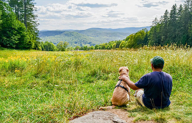A hiker and his dog share a moment gazing out over a beautiful summer field and the rolling New England landscape